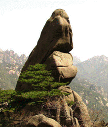 地理大阅读009_image011.gif