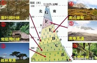 地理大阅读012_image009.jpg